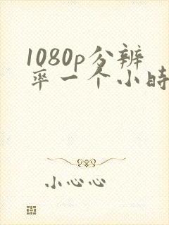 1080p分辨率一个小时多少g