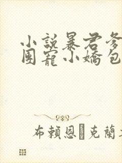 小说暴君爹爹的团宠小娇包