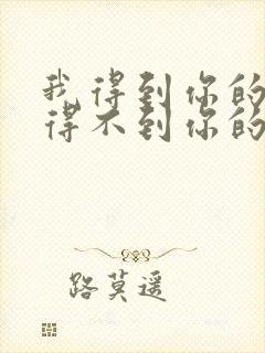 我得到你的心却得不到你的人歌词