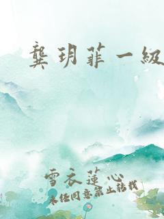 龚玥菲一级淫片