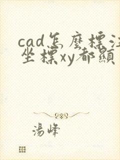 cad怎么标注坐标xy都显示