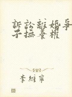 诉讼离婚争夺孩子抚养权