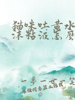 猫咪吐黄水有泡沫粘液怎么办