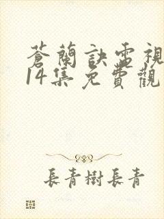 苍兰诀电视剧第14集免费观看