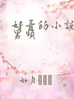 好看的小说推荐男频