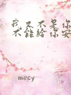 我又不是你的谁不能给你安慰歌词