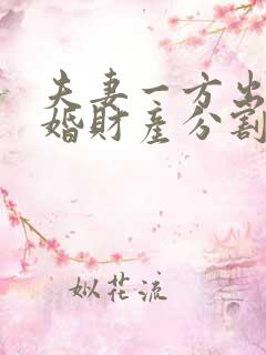 夫妻一方出轨离婚财产分割