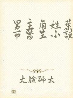 男主角姓叶的都市医生小说