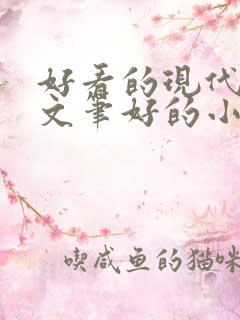 好看的现代言情文笔好的小说