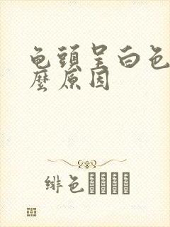 龟头呈白色是什么原因