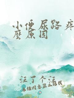 小便尿路疼是什么原因