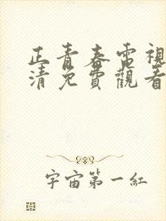 正青春电视剧高清免费观看全集