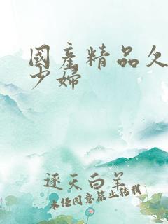 国产精品久久久少妇