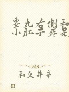 睾丸右侧和右侧小肚子疼是怎么回事