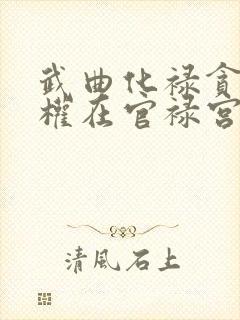 武曲化禄贪狼化权在官禄宫