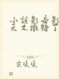 小说影帝影后今天又撒糖了免费阅读