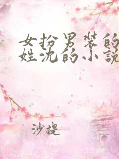 女扮男装的将军姓沈的小说