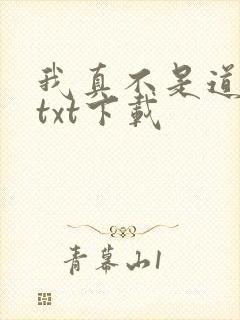 我真不是道祖啊txt下载
