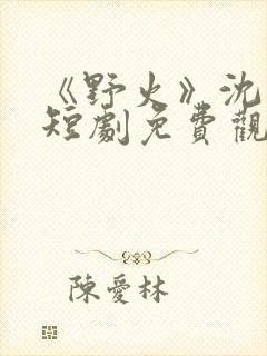 《野火》沈清梨短剧免费观看