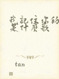 我记住你的样子是什么歌