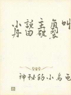 小说主角叫叶辰丹田破裂