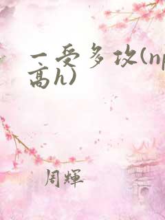 一受多攻(np高h)