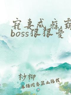 宠妻成瘾,霸道boss狠狠爱 巴扎嘿