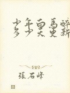 少年白马醉春风多少天更新一集