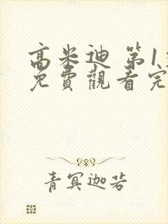 高米迪 第1季免费观看完整版高清