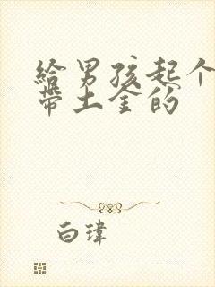 给男孩起个名字带土金的