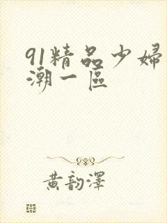 91精品少妇高潮一区