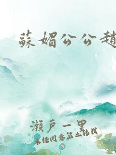 苏媚公公赵大宝