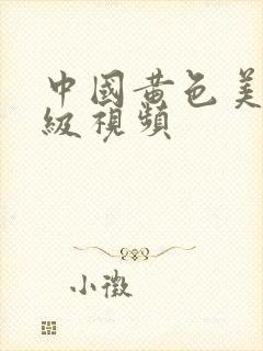 中国黄色美女一级视频