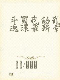 斗罗我的武魂是魂环最新章节