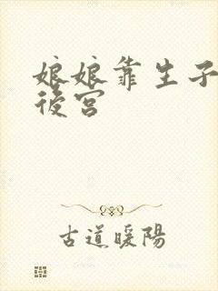 娘娘靠生子独宠后宫