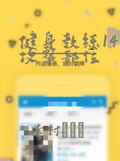 健身教练146攻击部位