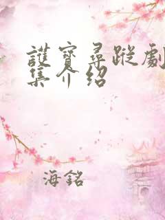 护宝寻踪剧情分集介绍