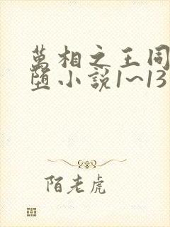 万相之王同人恶堕小说1~13