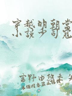 穿越明朝当皇帝小说少司寇