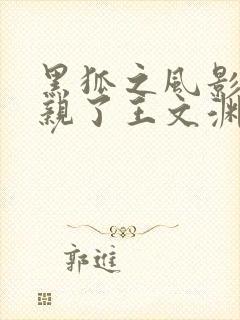 黑狐之风影赵婧亲了王文渊