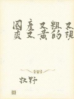 国产又粗又猛又爽又黄的视频,久久精品视频