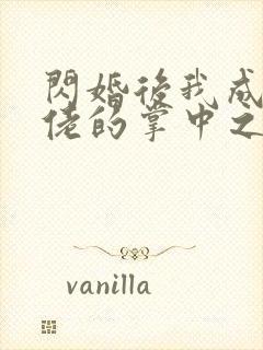 闪婚后我成了大佬的掌中之物免费的短剧