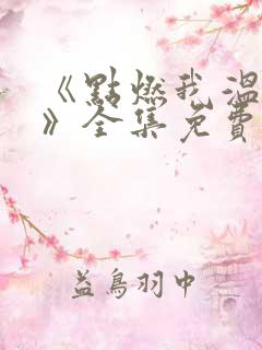 《点燃我温暖你》全集免费观看