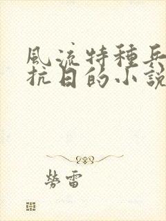 风流特种兵穿越抗日的小说