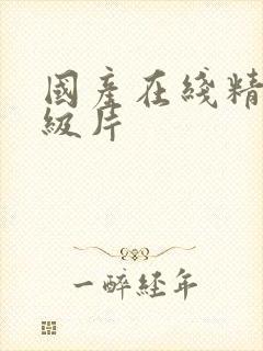 国产在线精品一级片