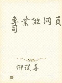 专业做网页的公司