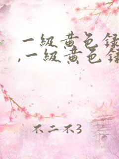 一级黄色录像片,一级黄色录像片