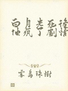 白月光死后江总他疯了剧情