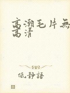 高潮毛片无遮挡高清