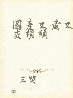 国产又黄又色又爽视频